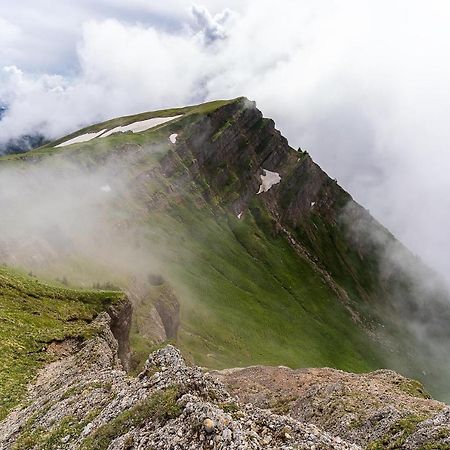 Gruenes Allgaeu Simon Held Opfenbach Exterior photo